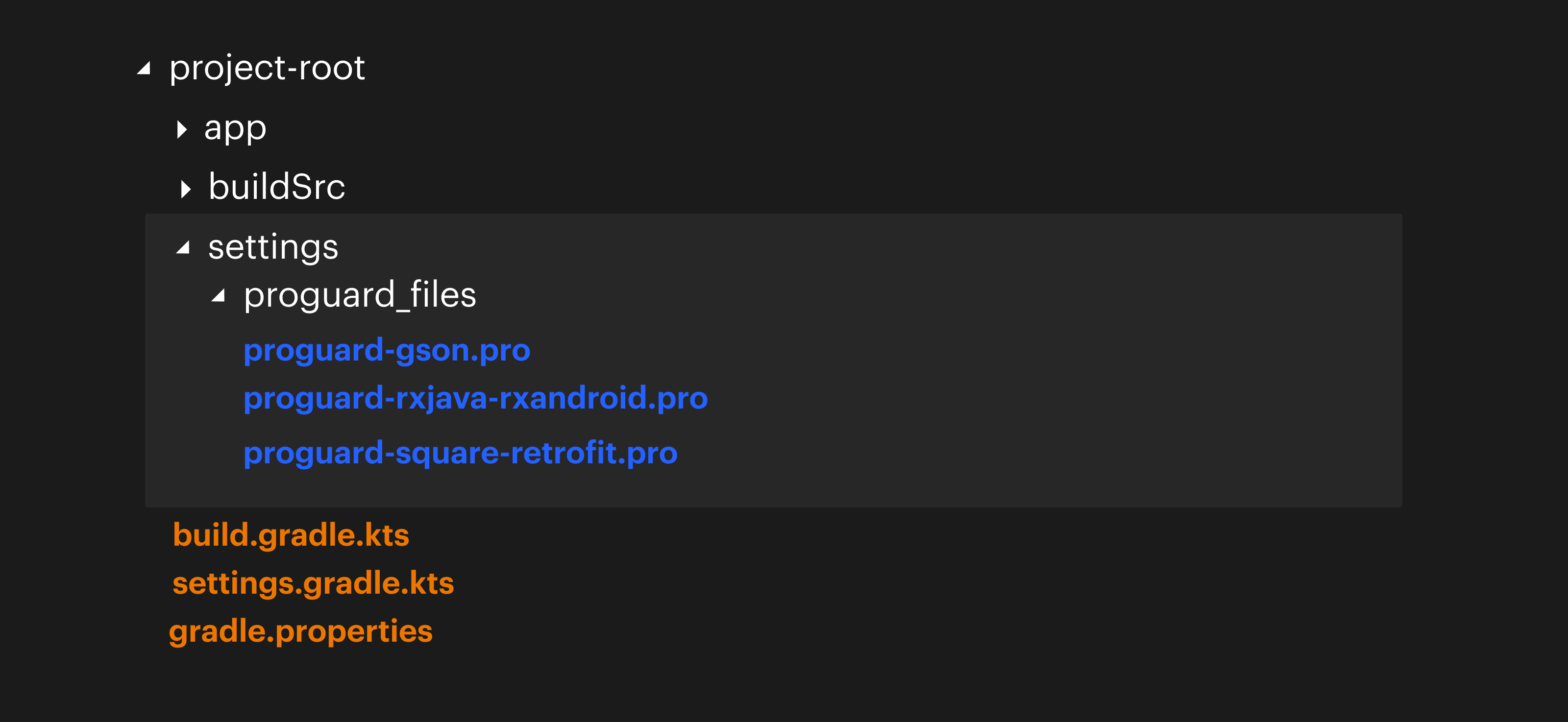 Pro-guard Files Directory Structure